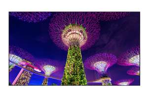  Фото видеостена 4x4 eliteboard 55" sk555fcln - фото 3