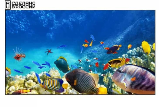 Изображение Панель для видеостен EliteBoard 55" BE-55F7